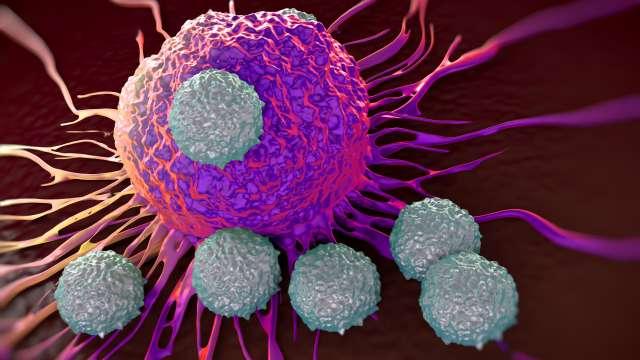 T细胞攻击癌症肿瘤