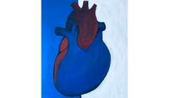 Image of a blue and red heart