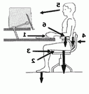 符合人体工程学的座位示意图